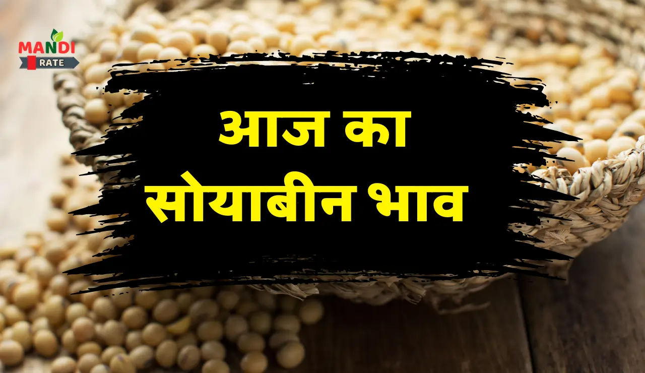 Soyabean Mandi Bhav