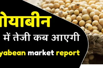 Soyabean rate today