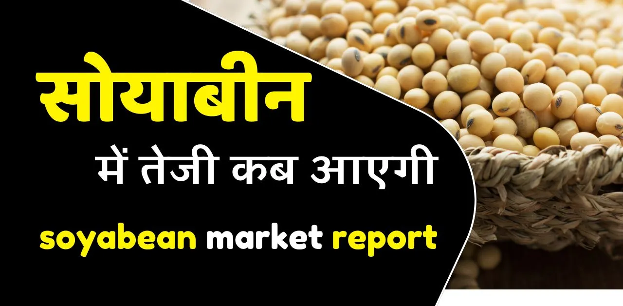 Soyabean rate today