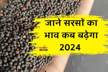 sarso ka bhav kab badhega 2024