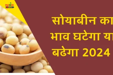 Soyabean Plant Rate