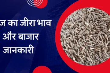 Aaj ka jeera bhav
